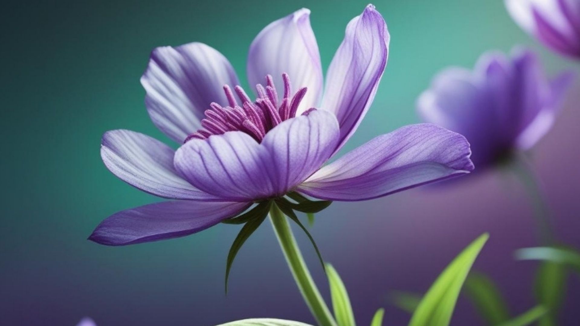 Flores de Bach asincronicos