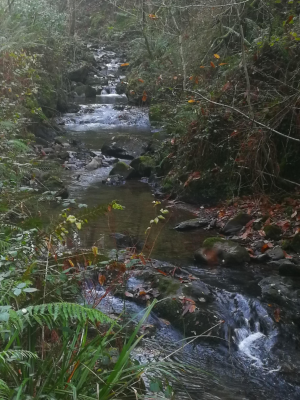 rock water.jpg